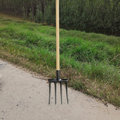 Four-Toothed Steel Fork with Wooden Handle