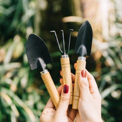garden tool set with iron shovel
