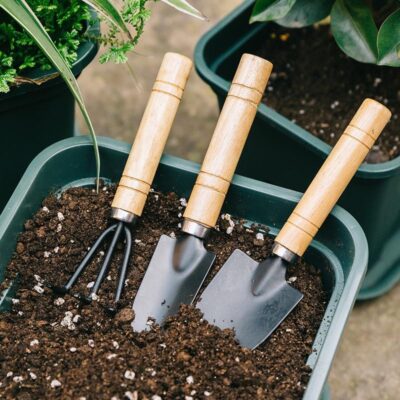 garden tool set with iron shovel