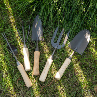 Small Stainless Steel Garden Shovel with Wooden Handle