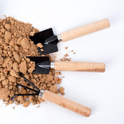 iron shovel for potted plants
