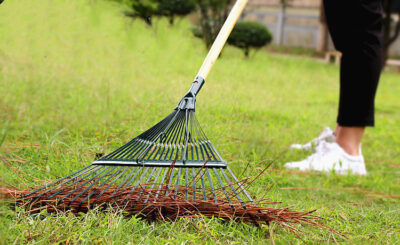 Custom Wooden Leaf Scoops with Steel Handle