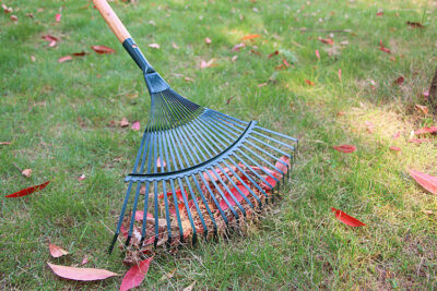 Custom Wooden Leaf Scoops with Steel Handle