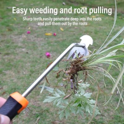 H305 Forged Steel Garden Hoe