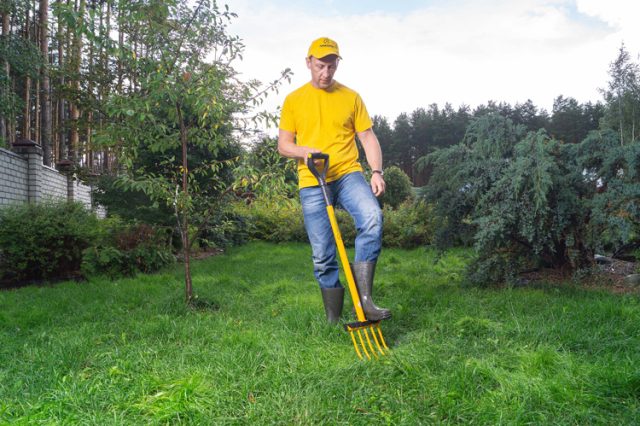 Garden Fork Direct supply (6)