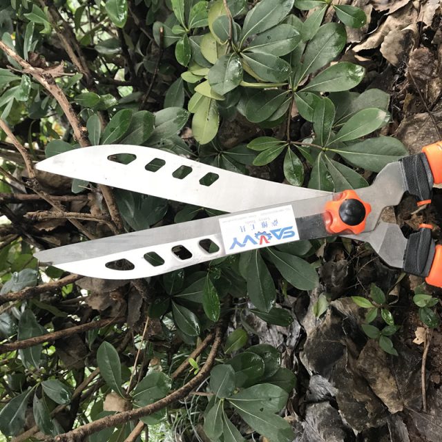 Hedge Clippers hot sale (4)