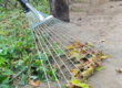 15 Teeth Garden Rake for Leaf and Soil Work