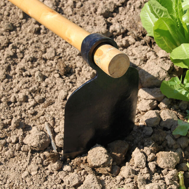 Black steel garden hoe for efficient digging