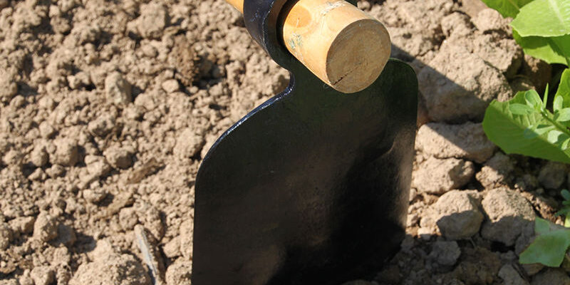 Black Steel Garden Hoe for Efficient Digging and Cultivating (2) Black steel garden hoe for efficient digging