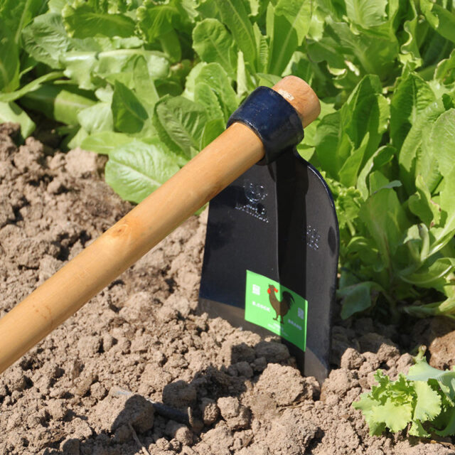 Chinese Forged Wood Handle Farming Hoe 305 for Soil Cultivation (6) forged wood handle farming hoe