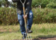 Industrial Grade D-Shaped Garden Fork