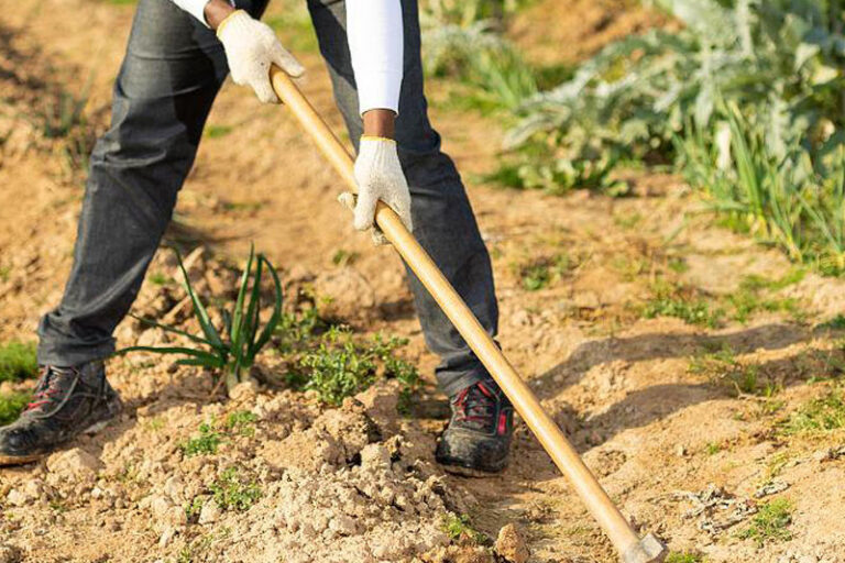 Hot Sale Rail Steel Garden Hoe H305 for Farm and Agriculture Use