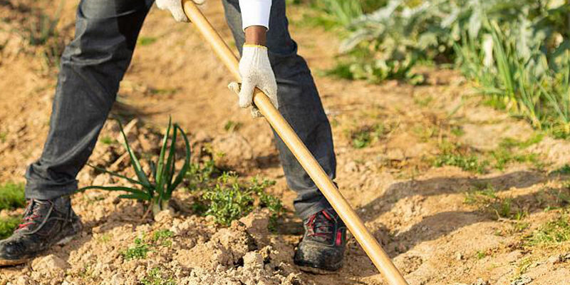 Hot Sale Rail Steel Garden Hoe H305 for Farm and Agriculture Use