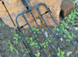 Garden Fork for Soil Aeration and Planting