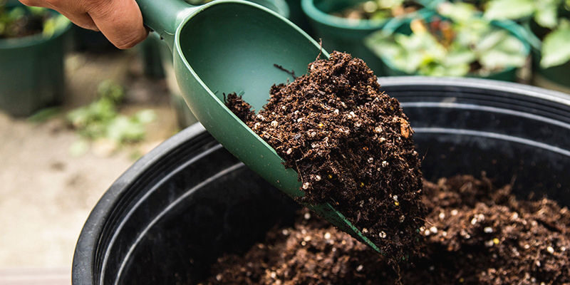 Industrial Grade Multicolor Plastic Garden Hand Shovel for Soil Work (1) ulticolor plastic garden hand shovel