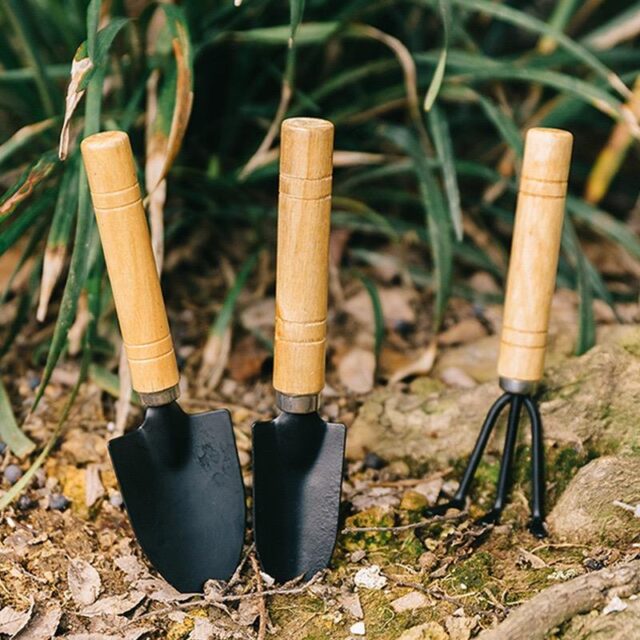 garden tool set with iron shovel