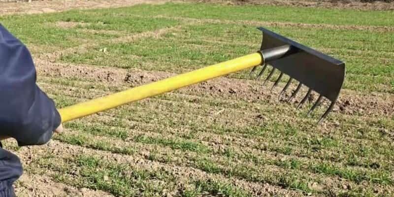 Multi-Functional Garden Rake for Soil and Lawn Supplier (6) Dual-Use Garden Rake for Soil and Lawn