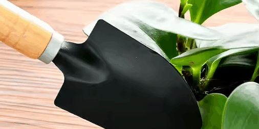 OEM Customizable Mini Garden Shovel Set for Small Plants (3) Customizable mini garden shovel