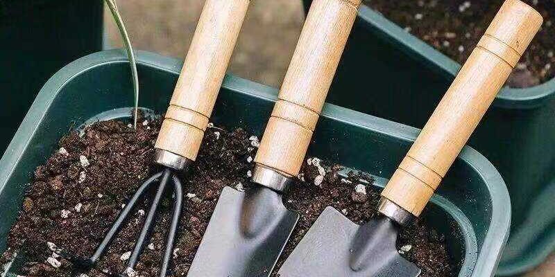 Thickened stainless steel small shovel