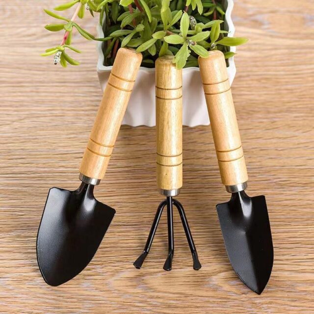 Thickened Stainless Steel Small Shovel for Gardening (6) Thickened stainless steel small shovel