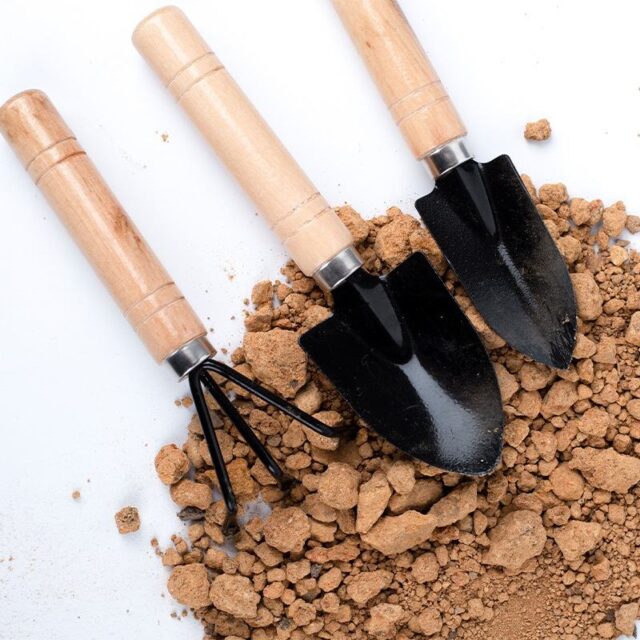 iron shovel for potted plants