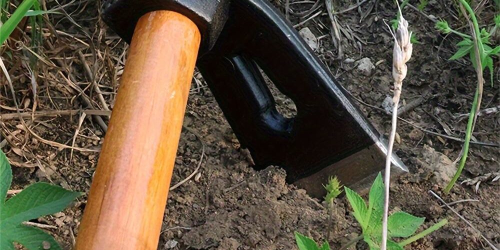 Durable Metal Garden Hoe with Wooden Handle