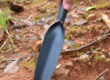 leaf-shaped garden trowel hand shovel