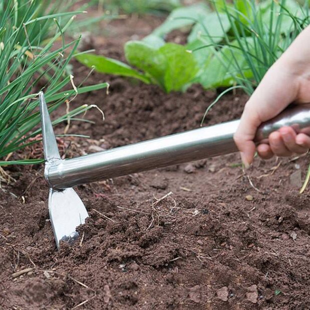 Pointed Stainless Steel Digging Hoe