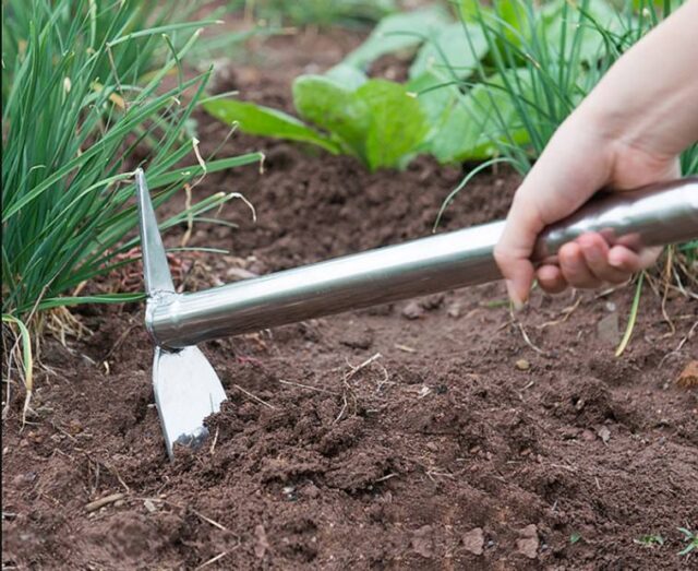 Pointed Stainless Steel Garden Digging Hoe Bulk Supply (4) Pointed Stainless Steel Digging Hoe